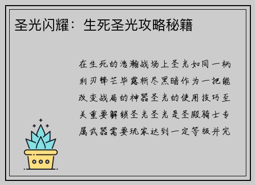 圣光闪耀：生死圣光攻略秘籍
