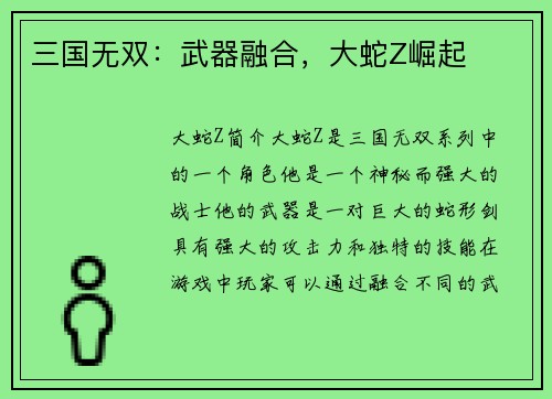 三国无双：武器融合，大蛇Z崛起