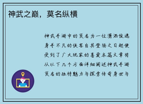 神武之巅，莫名纵横